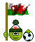 04 Flaggenkunterbunt 016 Smiley – Fussball